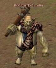 Rodam Defender